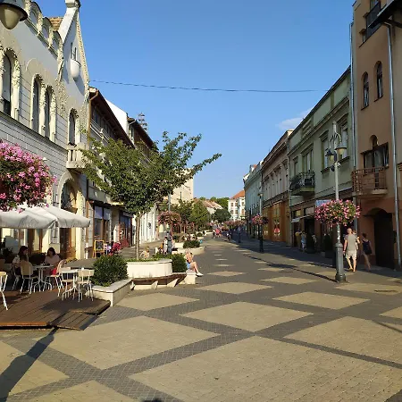 Διαμέρισμα Krenusz Vendeghaz. Kaposvár